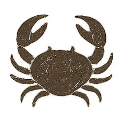 cancer zodiac sign