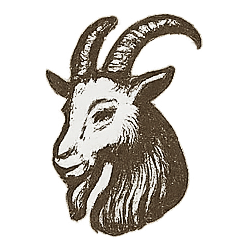 capricorn zodiac sign