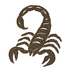 scorpio zodiac sign
